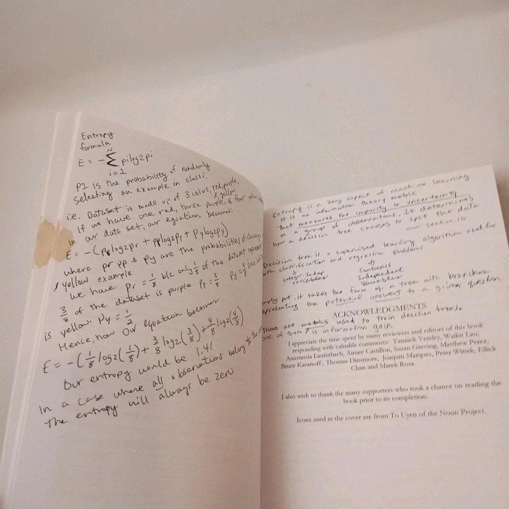 The Deep Learning AI Playbook by Carlos Perez Paperback Book